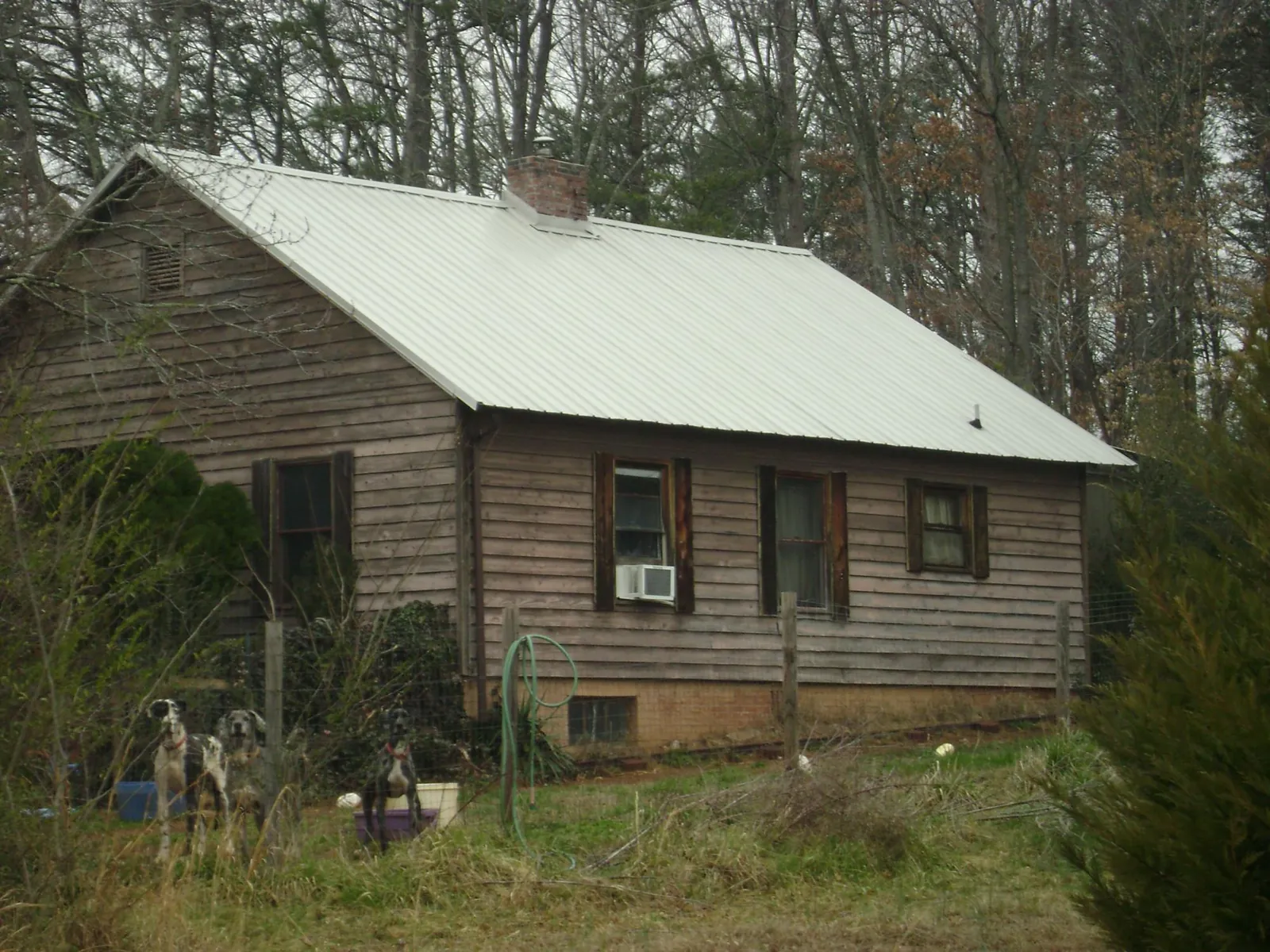 White metal roof on an old wood sided farmhouse, from a Asphalt Shingle Roof Repair job in Inkster